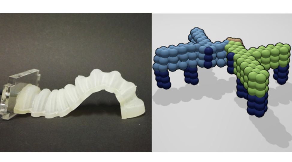 Computation Design Synthesis of Soft Locomotion Robots